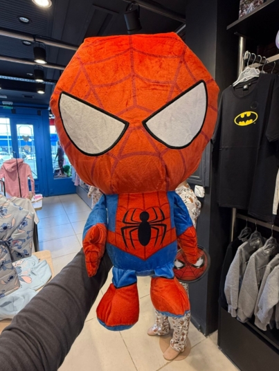 WhatsApp Image 2025-09-13 at 3.48.06 PM