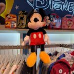 WhatsApp Image 2025-09-13 at 3.48.16 PM