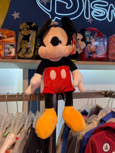 WhatsApp Image 2025-09-13 at 3.48.16 PM