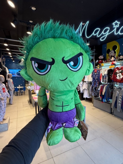 WhatsApp Image 2025-09-13 at 3.48.25 PM