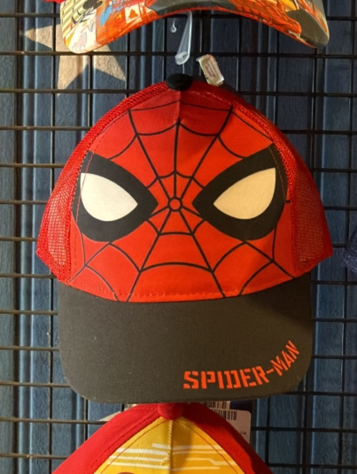 WhatsApp Image 2025-11-29 at 11.21.13 AM