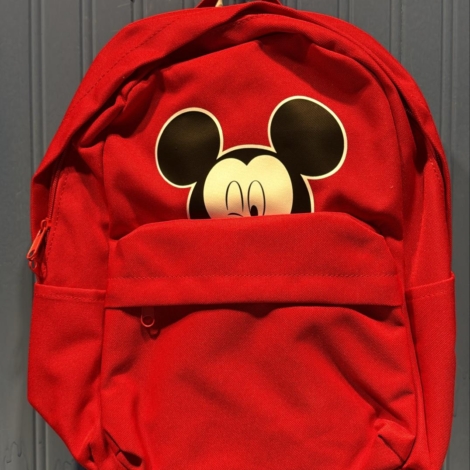 WhatsApp Image 2026-02-04 at 6.16.04 PM